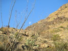 photo thumbnail #4