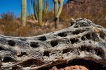 photo thumbnail #2