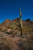 photo thumbnail #7