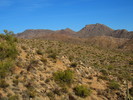 photo thumbnail #4