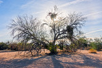 photo thumbnail #5