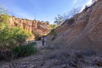 photo thumbnail #12
