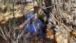 photo thumbnail #8