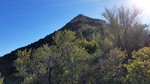 photo thumbnail #14