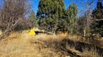 photo thumbnail #7