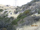 photo thumbnail #11