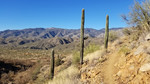 photo thumbnail #12