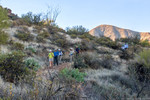 photo thumbnail #2