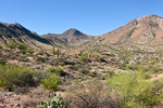 photo thumbnail #8