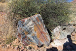 photo thumbnail #9