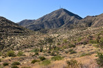 photo thumbnail #11