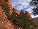 photo thumbnail #4