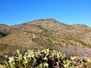 photo thumbnail #3