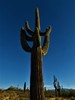 photo thumbnail #10