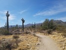 photo thumbnail #6