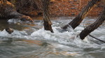 photo thumbnail #6