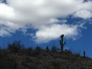 photo thumbnail #9