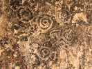 photo thumbnail #15