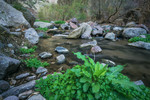 photo thumbnail #7