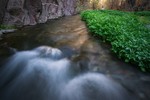 photo thumbnail #14