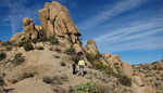 photo thumbnail #5
