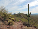photo thumbnail #10