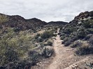 photo thumbnail #9