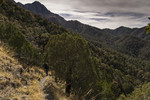 photo thumbnail #14