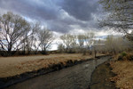 photo thumbnail #4
