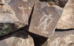 photo thumbnail #11