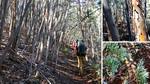 photo thumbnail #1