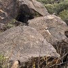 photo thumbnail #14