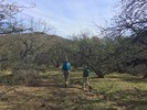photo thumbnail #6