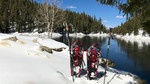 photo thumbnail #9