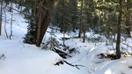 photo thumbnail #15