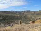 photo thumbnail #8