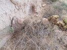 photo thumbnail #15