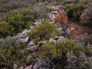 photo thumbnail #7