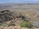 photo thumbnail #4