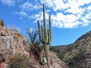 photo thumbnail #9
