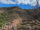 photo thumbnail #13