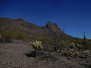 photo thumbnail #9