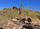 photo thumbnail #1