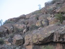 photo thumbnail #1