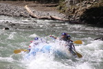 photo thumbnail #14