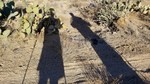 photo thumbnail #7