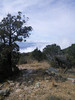 photo thumbnail #13