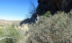 photo thumbnail #3