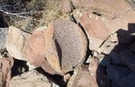 photo thumbnail #12