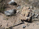 photo thumbnail #4